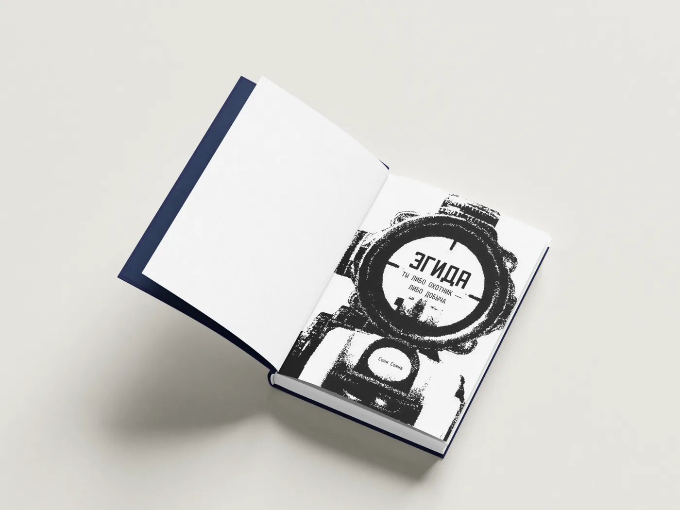 Portfolio item: Книга "Эгида" — Соня Сомна